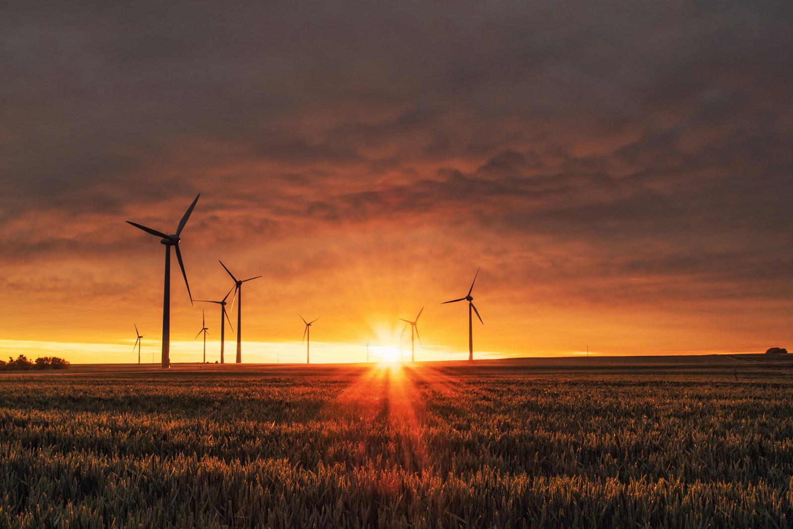 Renewable Energy Solutions: Harnessing the Power of the Sun, Wind, and Water